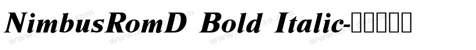 NimbusRomD Bold Italic字体转换